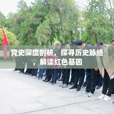 黨史深度剖析，探尋歷史脈絡(luò)，解讀紅色基因