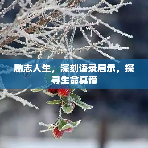 勵志人生，深刻語錄啟示，探尋生命真諦