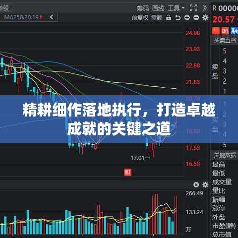 精耕細(xì)作落地執(zhí)行，打造卓越成就的關(guān)鍵之道