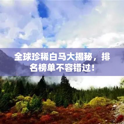 全球珍稀白馬大揭秘，排名榜單不容錯過！