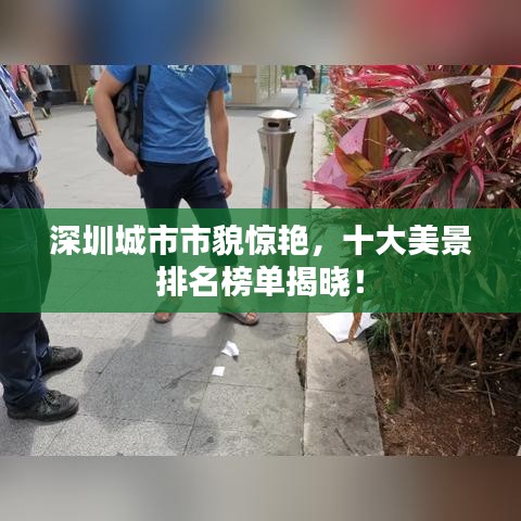 深圳城市市貌驚艷，十大美景排名榜單揭曉！