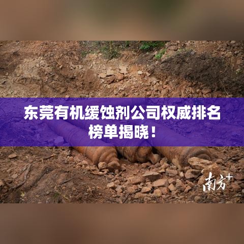 東莞有機緩蝕劑公司權(quán)威排名榜單揭曉！