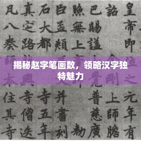 揭秘趙字筆畫數(shù)，領(lǐng)略漢字獨特魅力