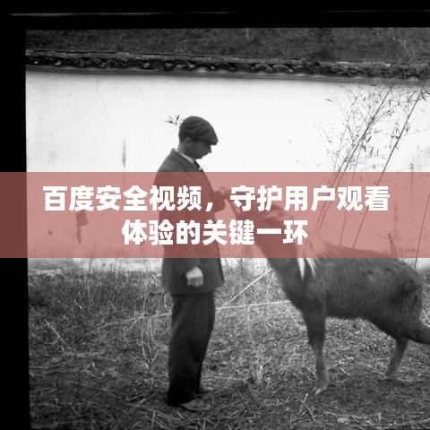 百度安全視頻，守護(hù)用戶觀看體驗(yàn)的關(guān)鍵一環(huán)