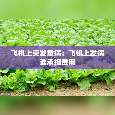 飛機(jī)上突發(fā)重病：飛機(jī)上發(fā)病 誰承擔(dān)費(fèi)用 