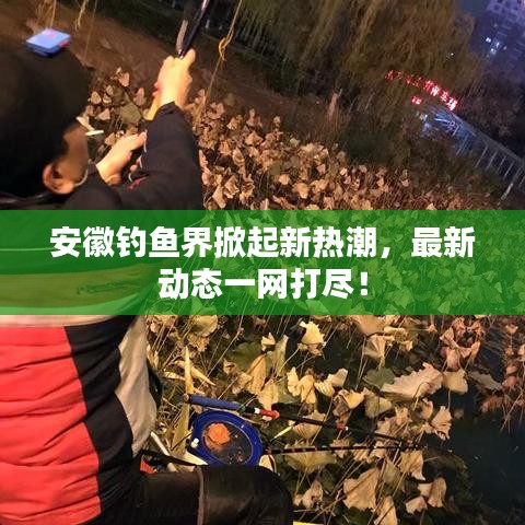 安徽釣魚界掀起新熱潮，最新動態(tài)一網(wǎng)打盡！