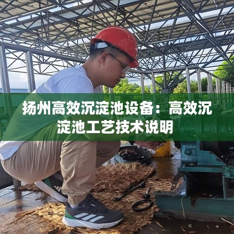 揚(yáng)州高效沉淀池設(shè)備：高效沉淀池工藝技術(shù)說(shuō)明 