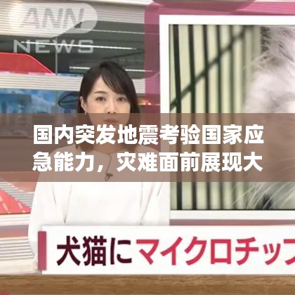 國(guó)內(nèi)突發(fā)地震考驗(yàn)國(guó)家應(yīng)急能力，災(zāi)難面前展現(xiàn)大國(guó)擔(dān)當(dāng)