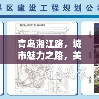 青島湘江路，城市魅力之路，美景盡收眼底