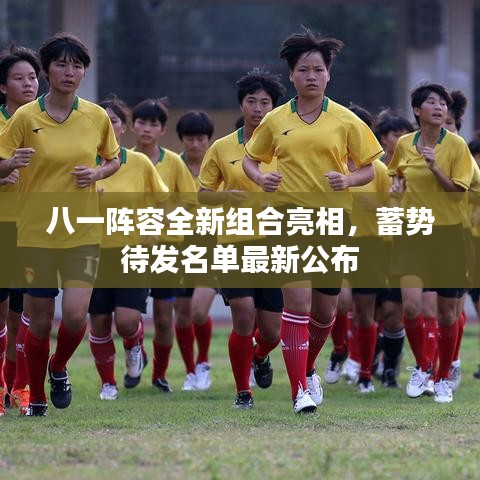 八一陣容全新組合亮相，蓄勢(shì)待發(fā)名單最新公布