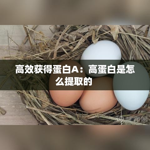 高效獲得蛋白A：高蛋白是怎么提取的 