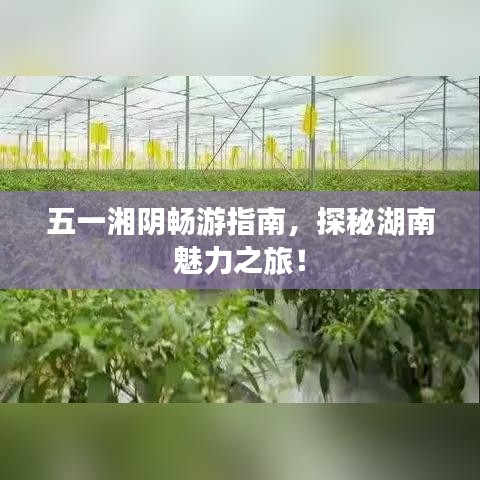 五一湘陰暢游指南，探秘湖南魅力之旅！