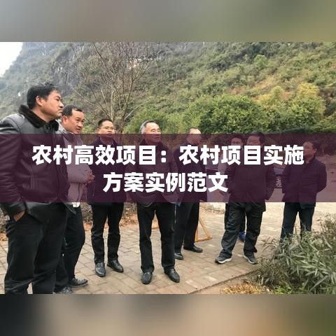 農(nóng)村高效項目：農(nóng)村項目實(shí)施方案實(shí)例范文 