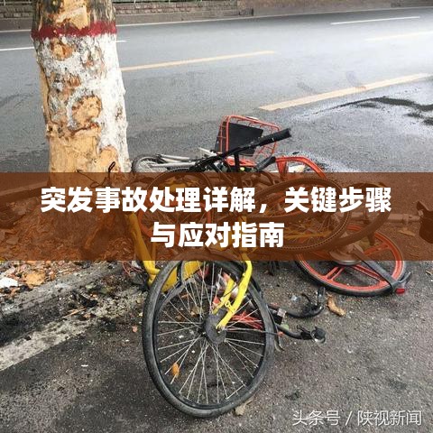 突發(fā)事故處理詳解，關(guān)鍵步驟與應(yīng)對(duì)指南