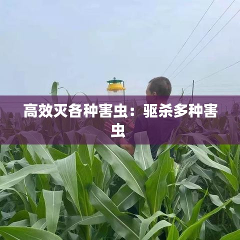 高效滅各種害蟲(chóng)：驅(qū)殺多種害蟲(chóng) 