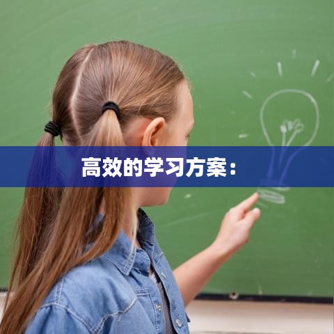 高效的學(xué)習(xí)方案： 
