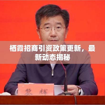 棲霞招商引資政策更新，最新動態(tài)揭秘