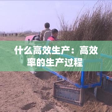 什么高效生產(chǎn)：高效率的生產(chǎn)過程 