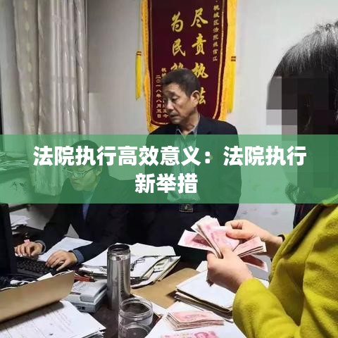 法院執(zhí)行高效意義：法院執(zhí)行新舉措 