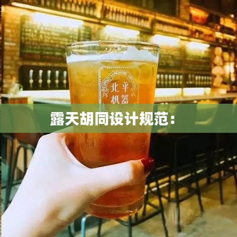 露天胡同設計規(guī)范： 