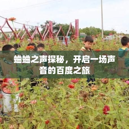 蛐蛐之聲探秘，開啟一場聲音的百度之旅