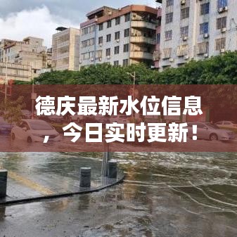 德慶最新水位信息，今日實時更新！