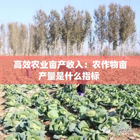 高效農(nóng)業(yè)畝產(chǎn)收入：農(nóng)作物畝產(chǎn)量是什么指標(biāo) 