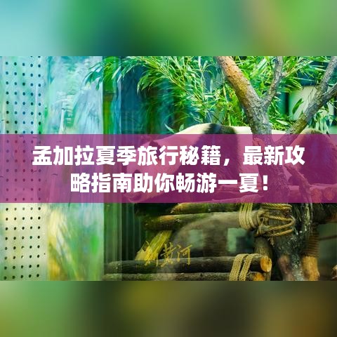 孟加拉夏季旅行秘籍，最新攻略指南助你暢游一夏！