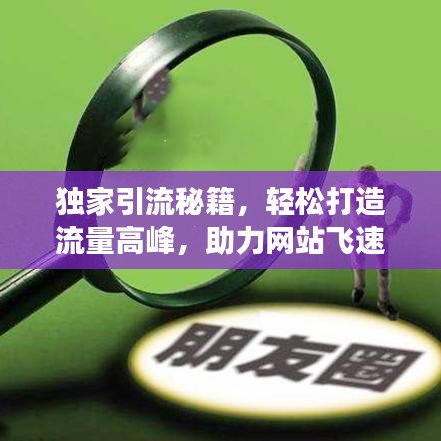 獨家引流秘籍，輕松打造流量高峰，助力網(wǎng)站飛速增長！