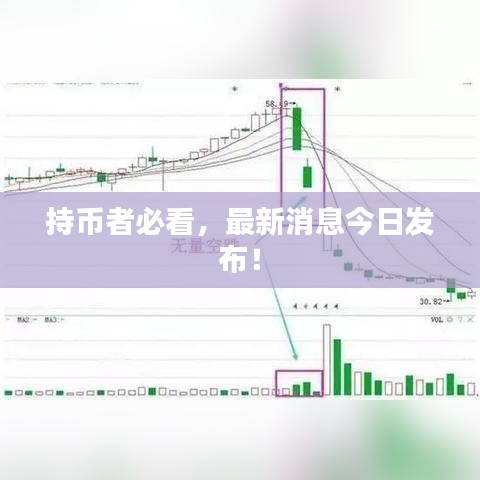 持幣者必看，最新消息今日發(fā)布！