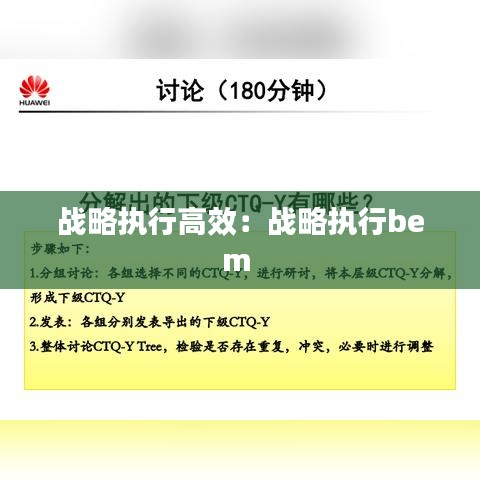 戰(zhàn)略執(zhí)行高效：戰(zhàn)略執(zhí)行bem 