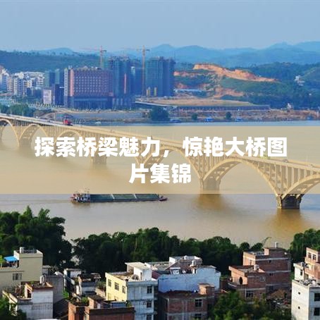 探索橋梁魅力，驚艷大橋圖片集錦