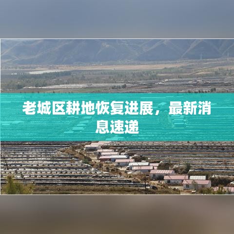 老城區(qū)耕地恢復(fù)進(jìn)展，最新消息速遞