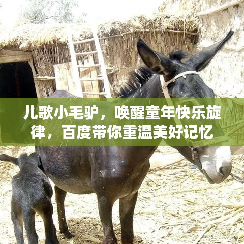 井蛙之見 第3頁