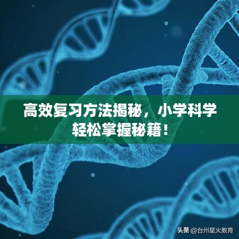 高效復(fù)習(xí)方法揭秘，小學(xué)科學(xué)輕松掌握秘籍！