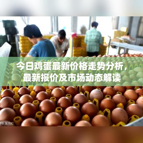 今日雞蛋最新價(jià)格走勢(shì)分析，最新報(bào)價(jià)及市場(chǎng)動(dòng)態(tài)解讀
