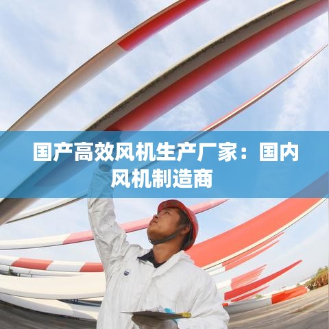 國產(chǎn)高效風(fēng)機生產(chǎn)廠家：國內(nèi)風(fēng)機制造商 