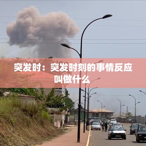 突發(fā)時(shí)：突發(fā)時(shí)刻的事情反應(yīng)叫做什么 