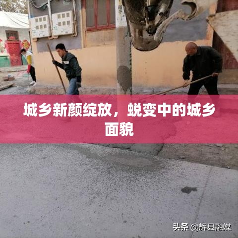 草長(zhǎng)鶯飛 第3頁