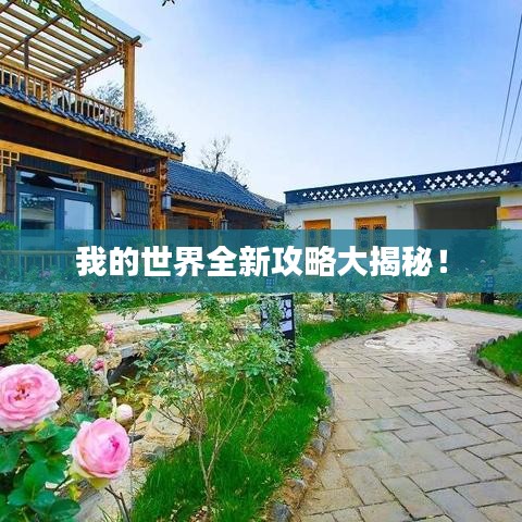 我的世界全新攻略大揭秘！