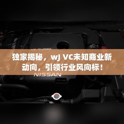 獨家揭秘，wJ VC未知商業(yè)新動向，引領行業(yè)風向標！