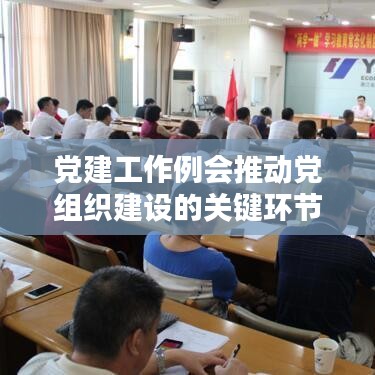 黨建工作例會推動黨組織建設(shè)的關(guān)鍵環(huán)節(jié)