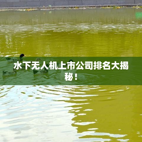 水下無人機(jī)上市公司排名大揭秘！