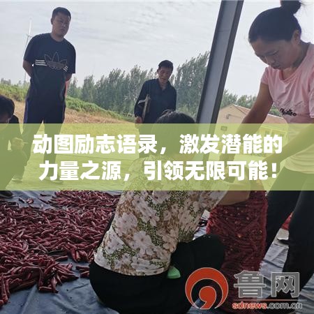 動(dòng)圖勵(lì)志語(yǔ)錄，激發(fā)潛能的力量之源，引領(lǐng)無(wú)限可能！