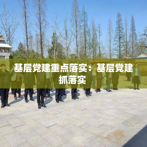 基層黨建重點(diǎn)落實(shí)：基層黨建抓落實(shí) 