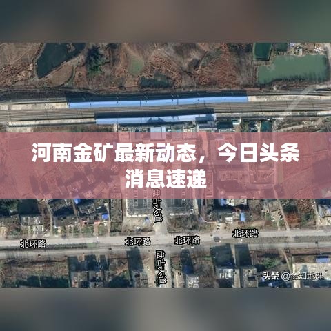 河南金礦最新動(dòng)態(tài)，今日頭條消息速遞
