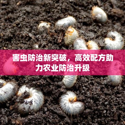 害蟲防治新突破，高效配方助力農(nóng)業(yè)防治升級(jí)