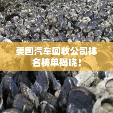 美國(guó)汽車回收公司排名榜單揭曉！