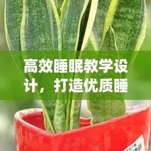 高效睡眠教學(xué)設(shè)計(jì)，打造優(yōu)質(zhì)睡眠模式，提升身心健康質(zhì)量