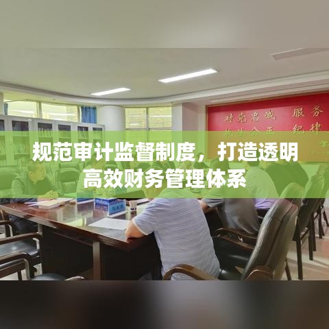 規(guī)范審計(jì)監(jiān)督制度，打造透明高效財(cái)務(wù)管理體系